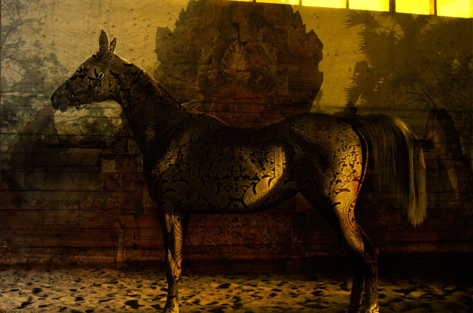 FASCINASIA — Fine Art Series — image 7
