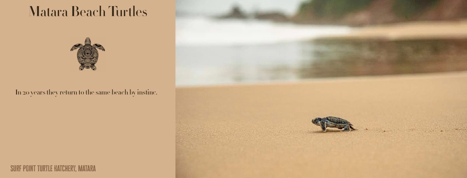 Book Design — Sri Lanka — image 9
